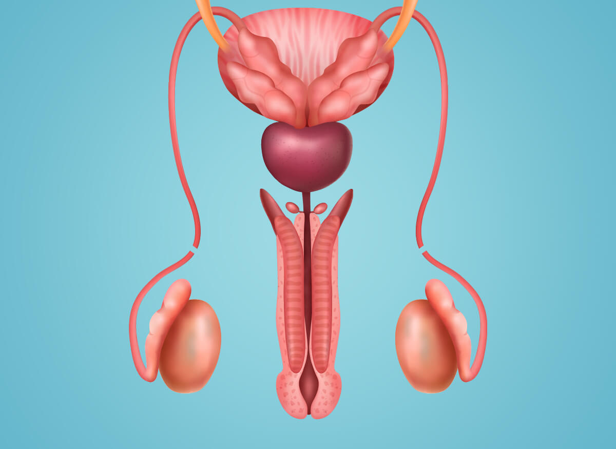 bg-dr-vasectomia-procedimiento